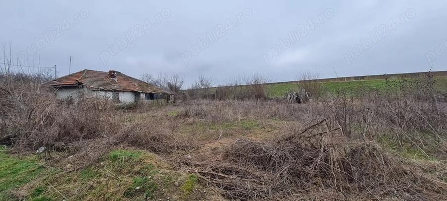 Teren de 924 mp, în Dridu