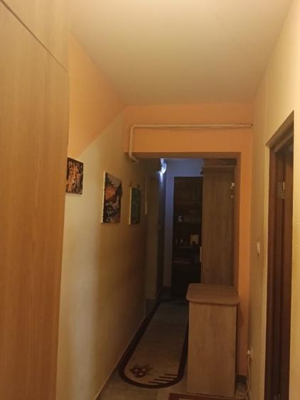 Garsonieră decomandată, mobilată în Vișan