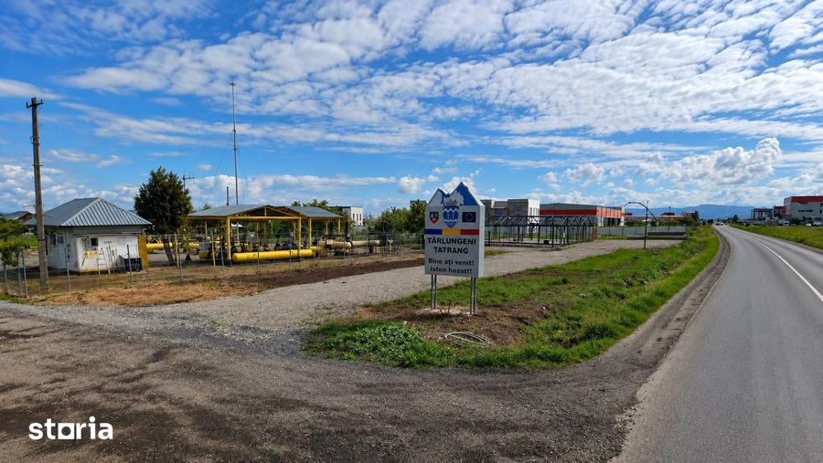 Teren de 600 mp, în Tărlungeni