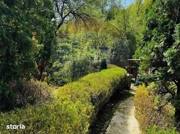 Casă cu 6 camere cu Teren 3548 Mp în Sănduleni