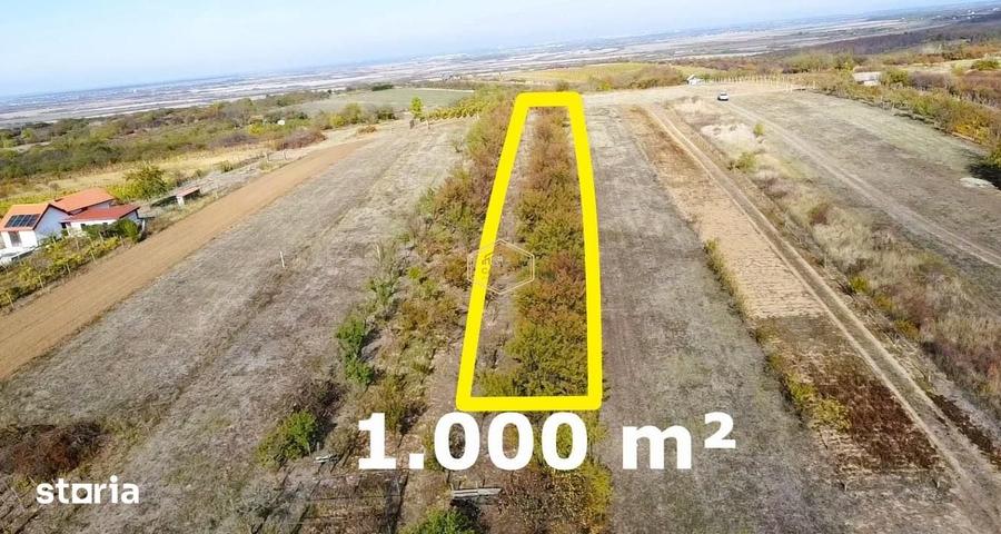 Teren de 1000 mp, în Burdea