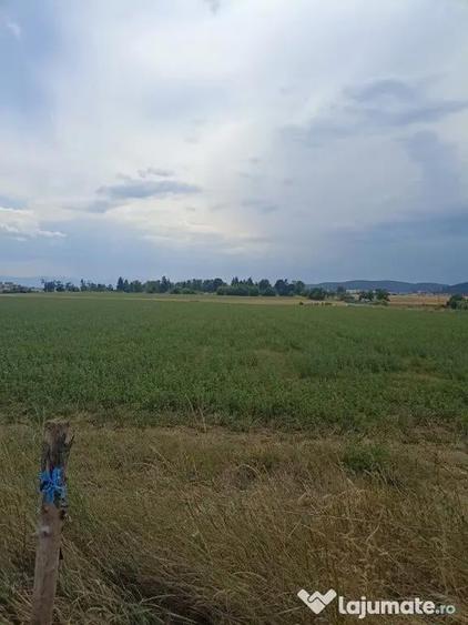 De vanzare terenuri extravilane in Sfantu Gheorghe - 3