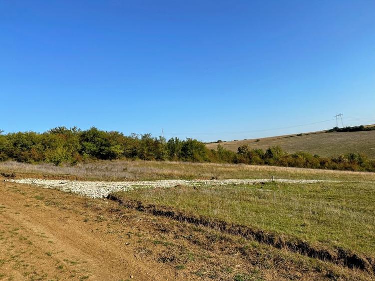 Teren Construcții extravilan de 651 mp, în Rusciori
