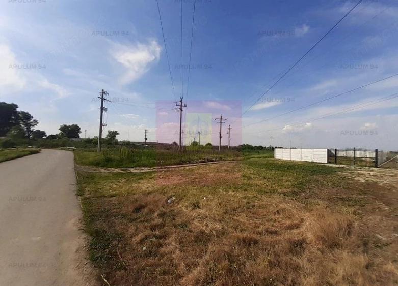Teren construc?ie casa - 1 Decembrie - Zona Metropolitana Bucure?ti - 15