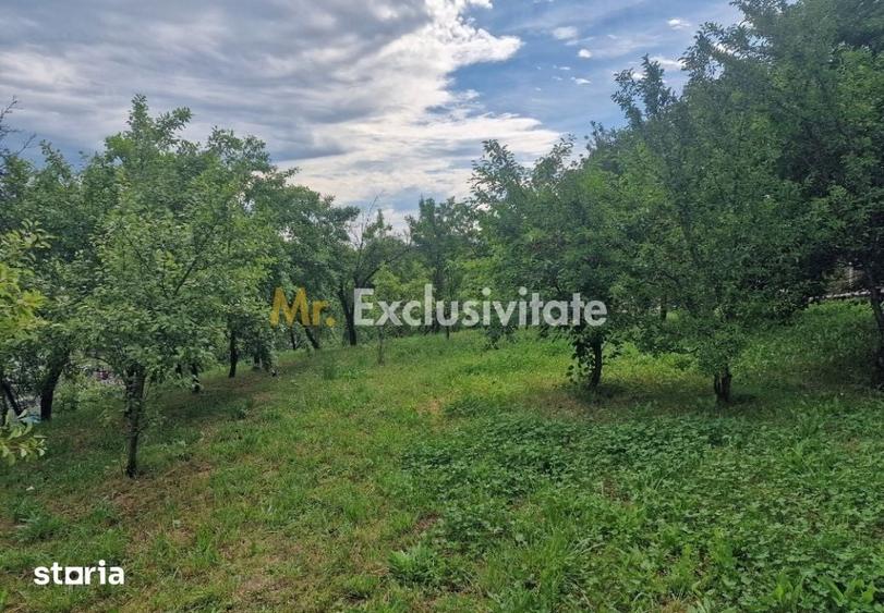 Teren de 1400 mp, în Albota