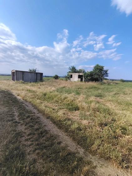 Teren de 3200 mp, în Bălăceanca