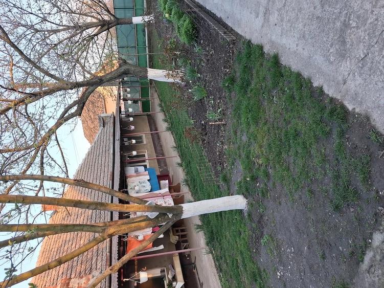 Casă cu Teren 2500 Mp în Otelec