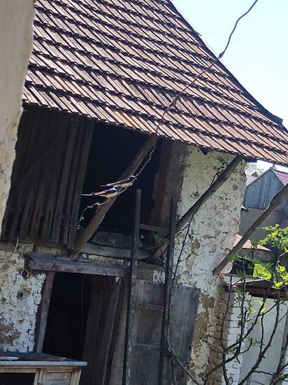 Casă cu 2 camere în Sfânta Elena