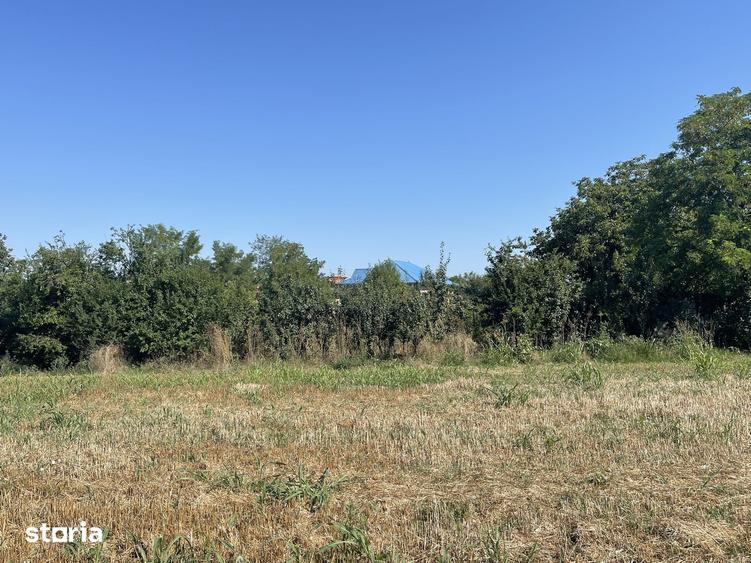 Teren de 1200 mp, în Balotești