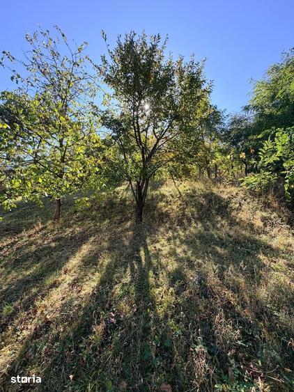 Casă cu 3 camere cu Teren 1800 Mp în Central