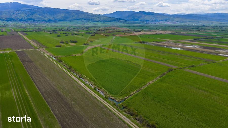 Teren de 4000 mp, în Prejmer
