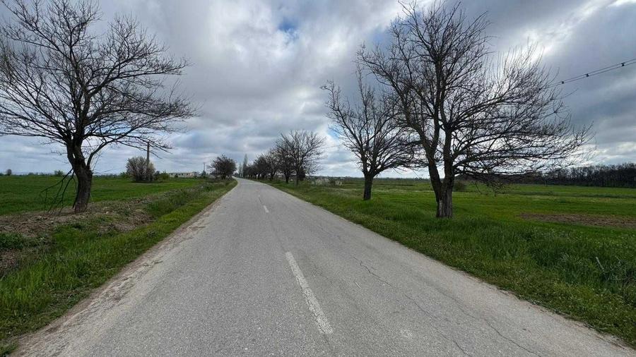 Teren Intravilan langa padure - zona linistita, perfect pentru casa! - 2