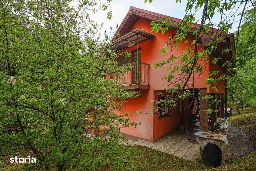 Casă cu 4 camere cu Teren 4891 Mp în Sava