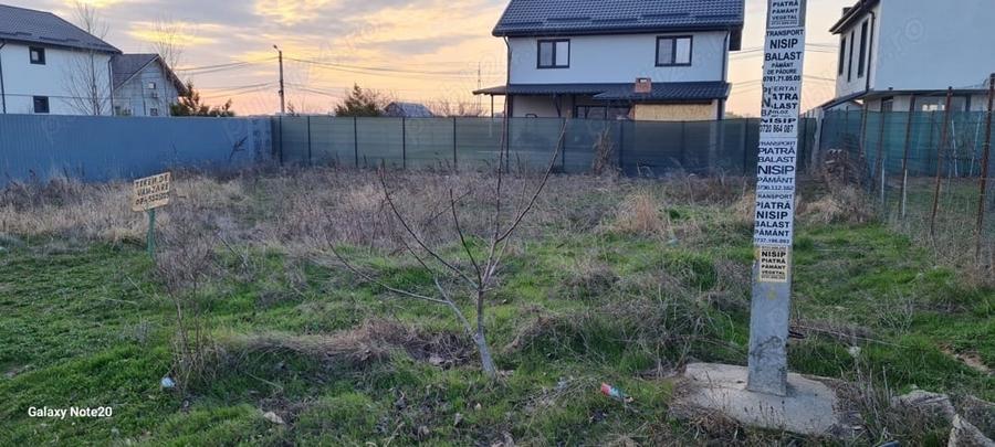 Teren intravilan Str Primaverii Berceni - 5