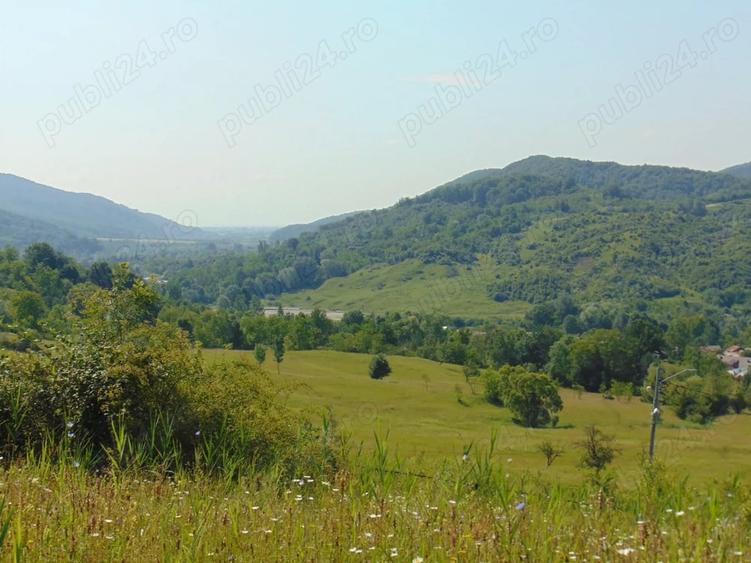 Teren de 2727 mp, în Provița de Jos