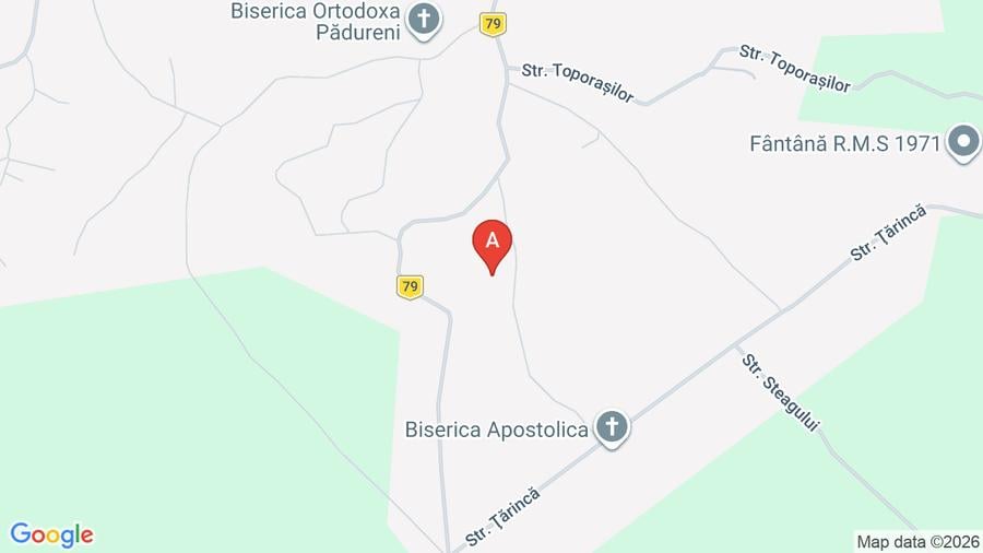 Teren Construcții intravilan de 6200 mp, în Pădureni (Șendriceni)