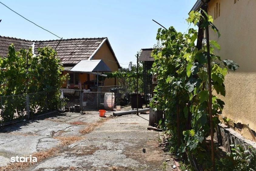 Vand casa, anexe gospodaresti si gradina - 6