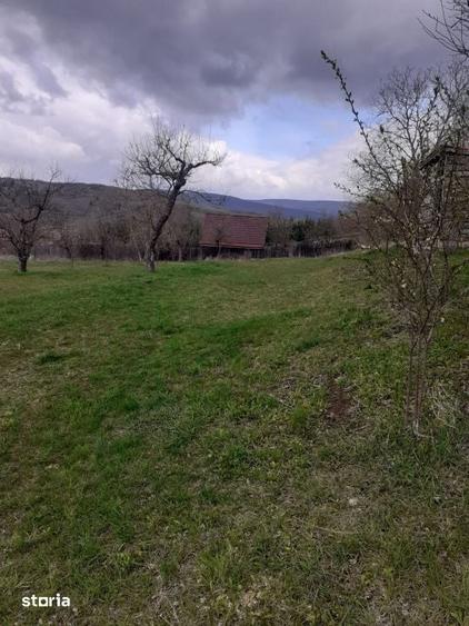 Teren de 6000 mp, în Dâmbul Rotund
