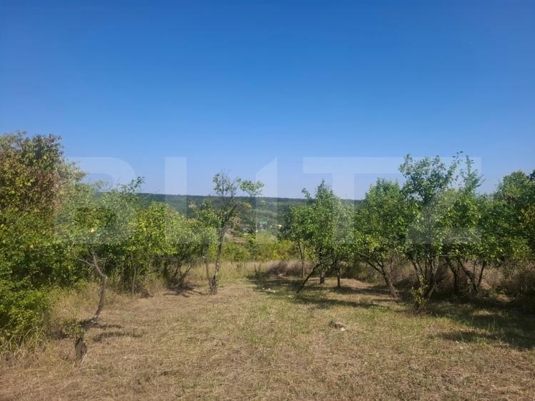 Teren Construcții intravilan de 2493 mp, în Cobiuța