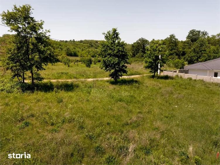 Teren de 600 mp, în Iorga