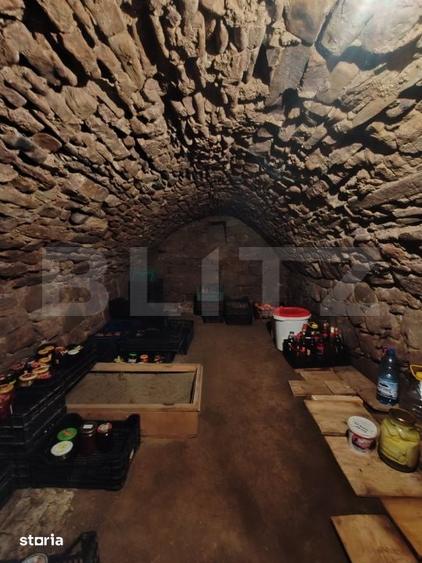 Casă cu 3 camere cu Teren 6830 Mp în Central