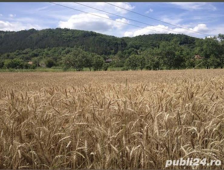Teren de 5000 mp, în Racâș