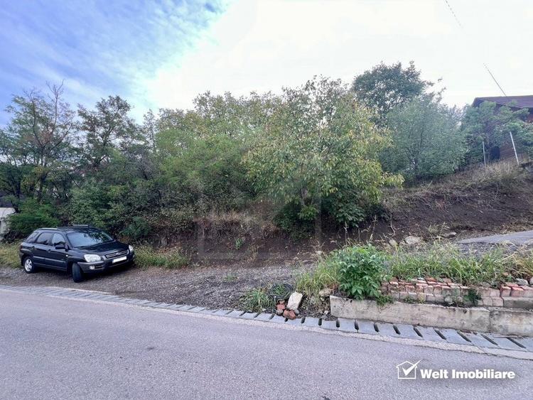 Teren Construcții intravilan de 5800 mp, în Dezmir
