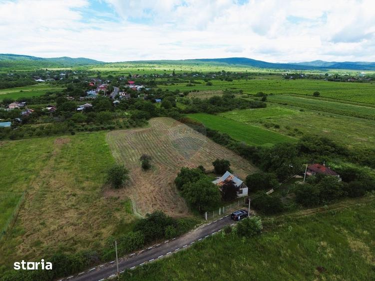 Teren 4,229mp Blidari (Carligele) / Strada Simionescu - 2