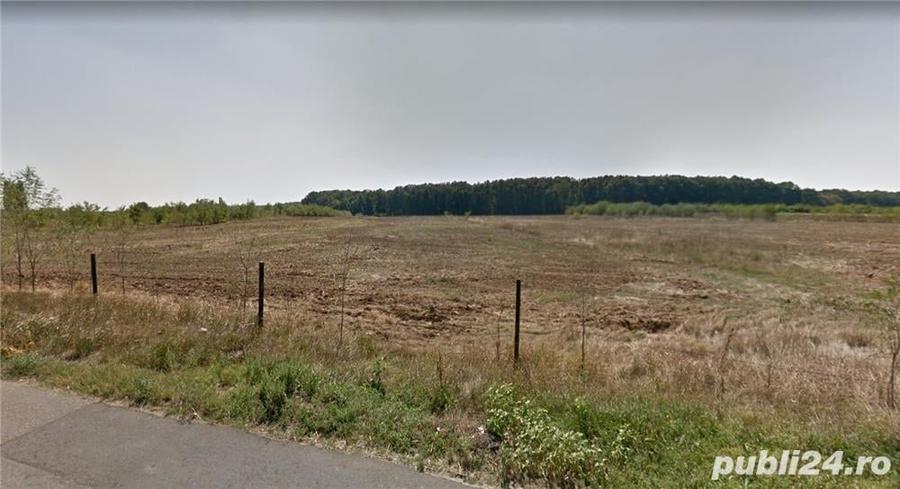 Teren de 4350 mp, în Bălteni
