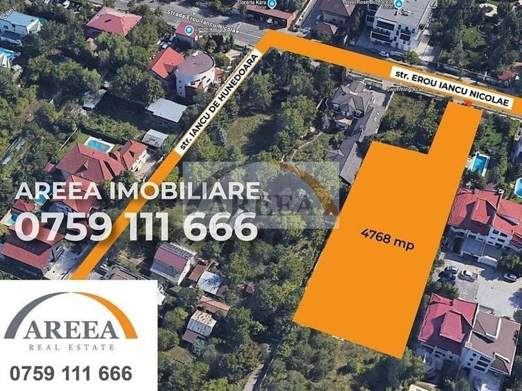 Teren Construcții intravilan de 4768 mp, în Iancu Nicolae