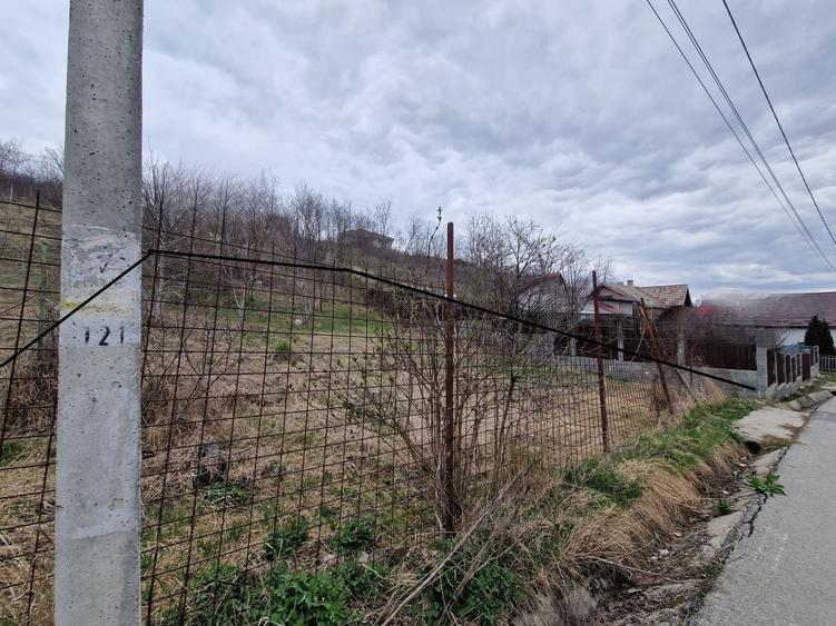 Teren agricol intravilan de 584 mp, în Dezmir