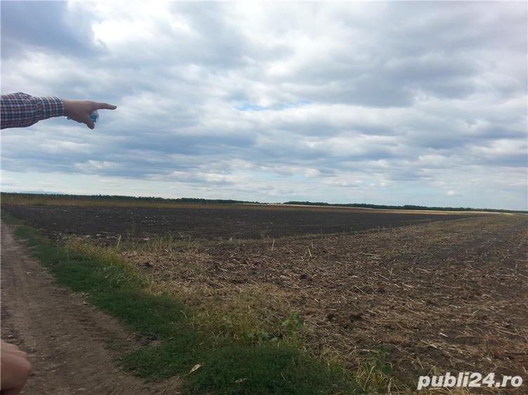 Teren de 14900 mp, în Valea Mărului