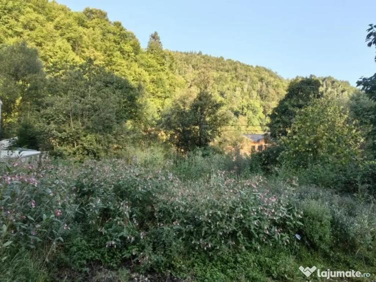 Casă cu 11 camere cu Teren 1560 Mp în Moieciu
