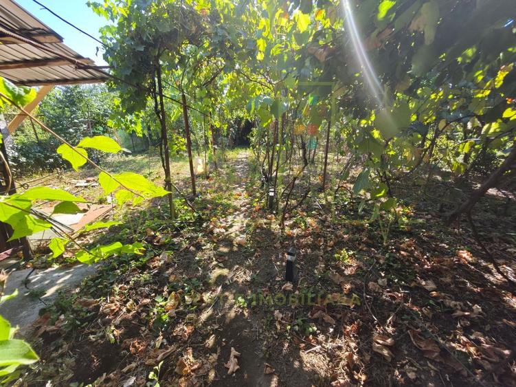 Casă individuală cu 3 camere cu Canalizare în Freidorf