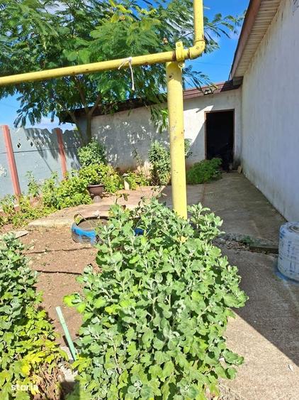 Casă cu 3 camere în Limanu