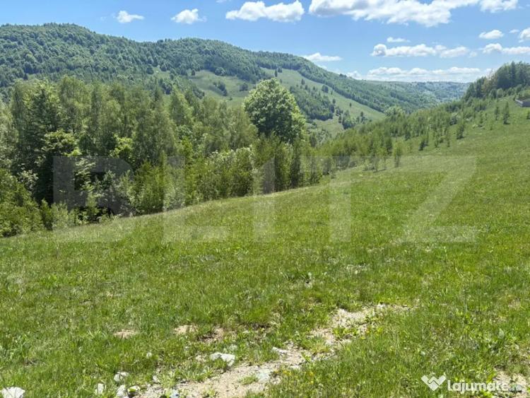 Teren în Muntele Băișorii