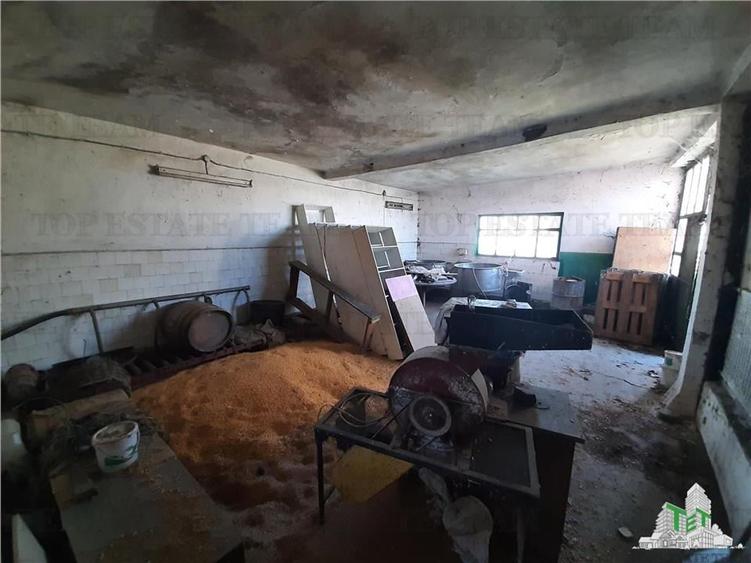 Teren Construcții intravilan de 4000 mp, în Vârteju