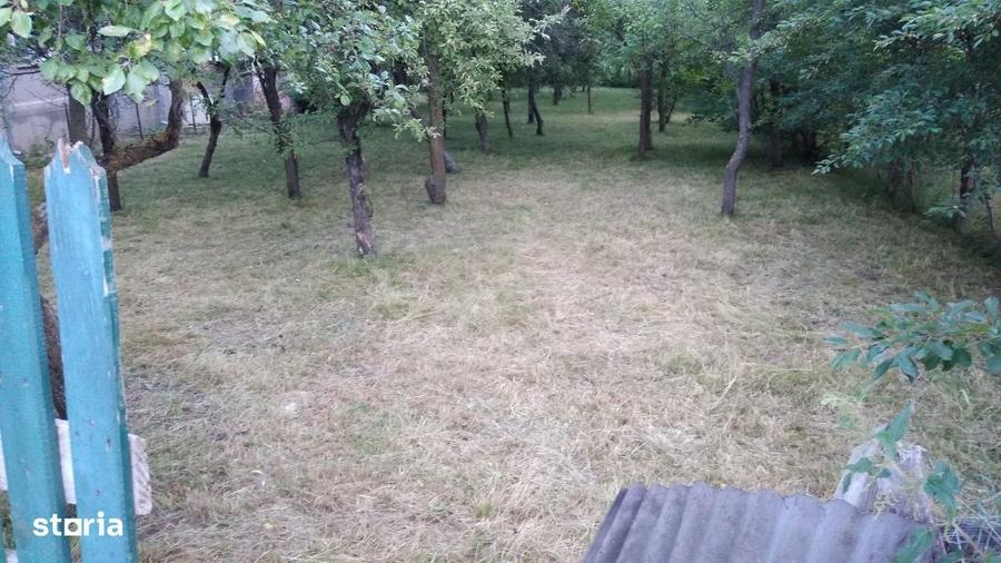 Spațiu comercial, în Central