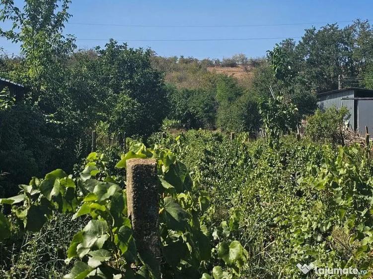 Teren de 1800 mp, în Fârțănești