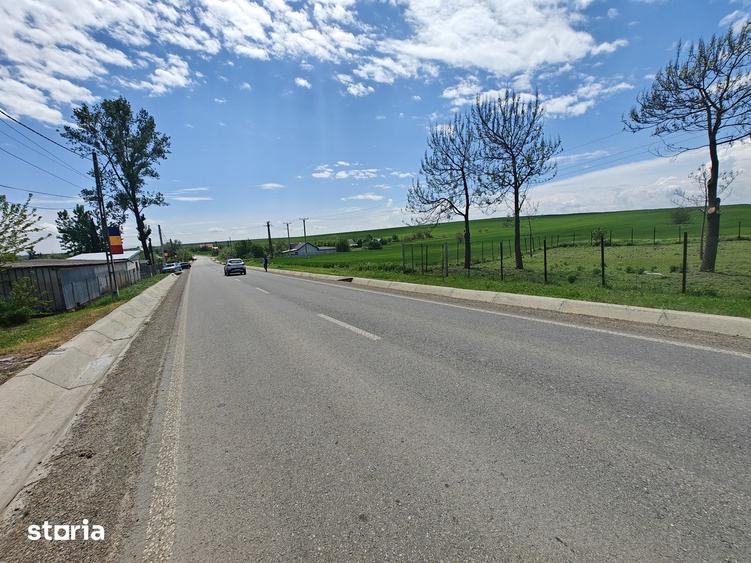 Teren de 50000 mp, în Movileni