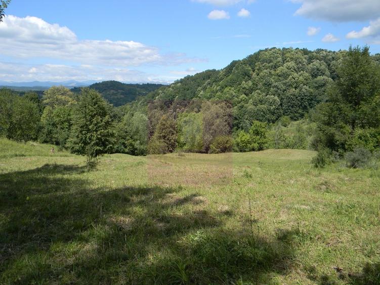 Teren agricol intravilan de 3092 mp, în Telega