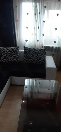 Apartament cu 2 camere semidecomandat în Viziru 3