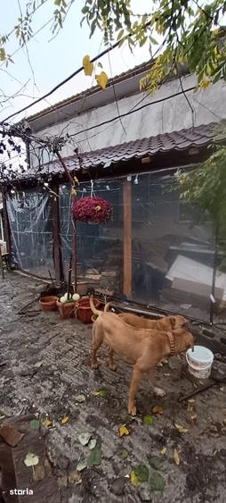 Casă cu 3 camere cu Teren 1354 Mp în Ghindeni