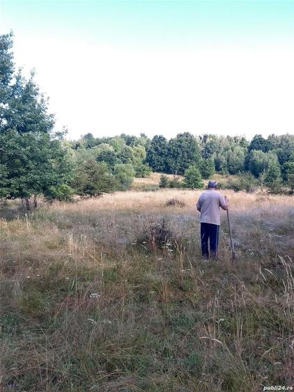 Teren de 8600 mp, în Baia de Fier