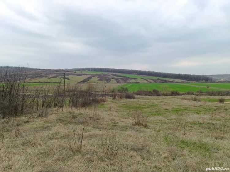 Teren de 5400 mp, în Central