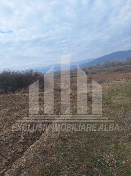 Teren agricol extravilan de 15800 mp, în Tărtăria