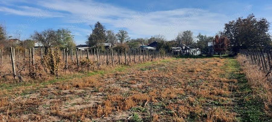 Teren de 1500 mp, în Vânători