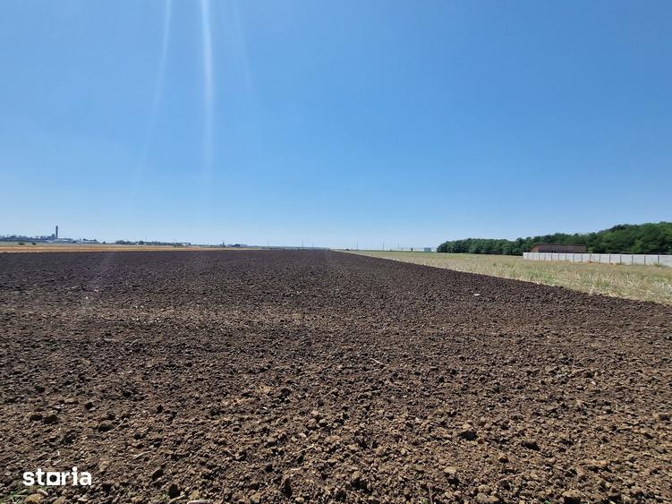 Teren de 1500 mp, în Fundulea
