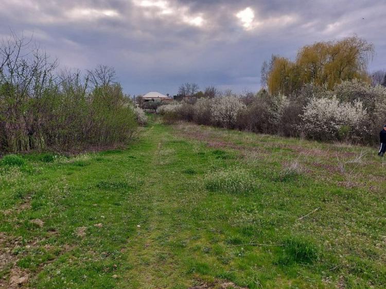 Teren Topoloveni - 3670 mp - langa padure, aproape de Cen... - 3