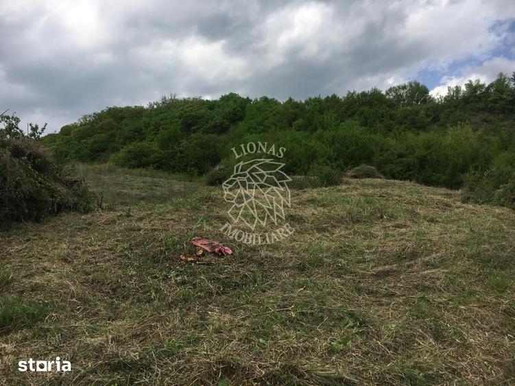 Teren de 700 mp, în Budacu de Jos